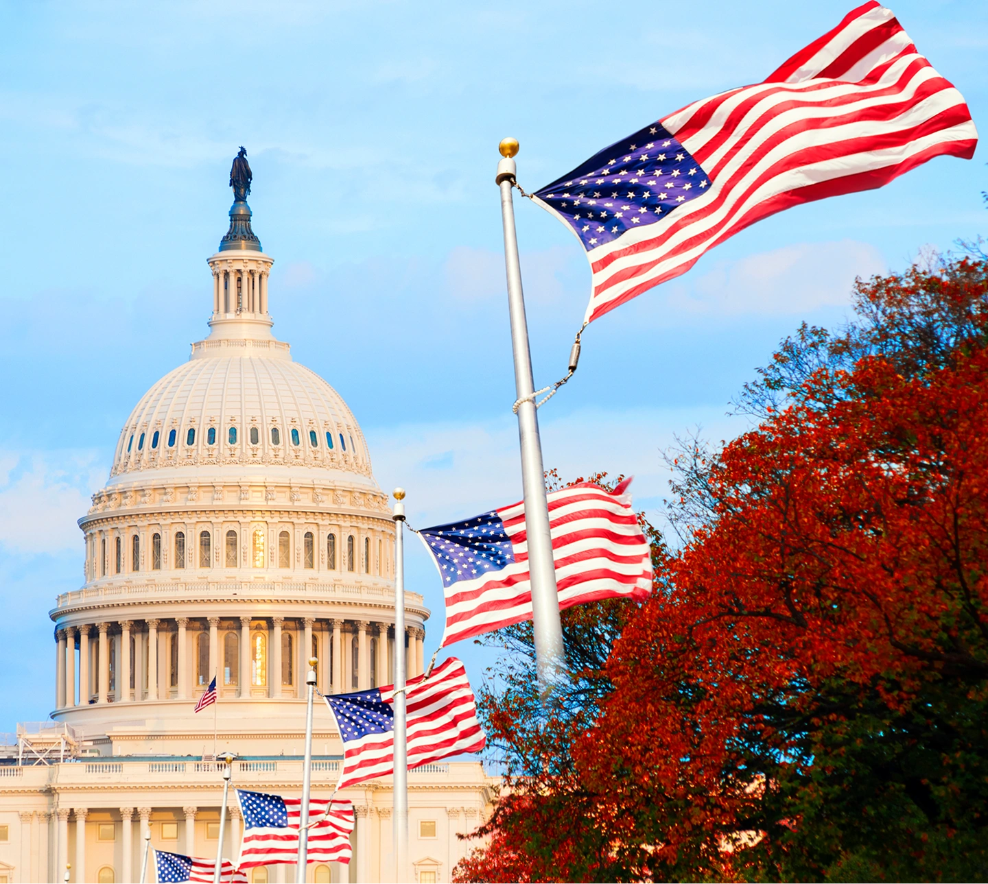 U.S. Capitol with American flags flying